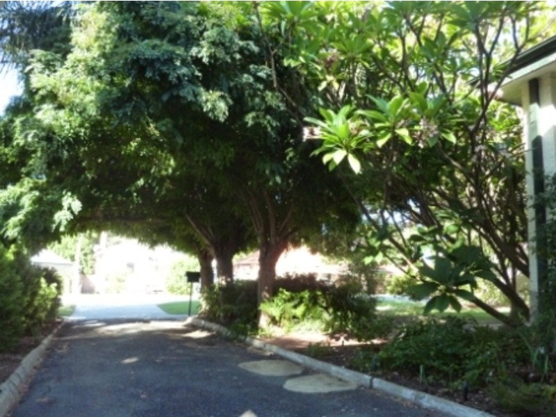 215 Woodside St, Doubleview WA 6018