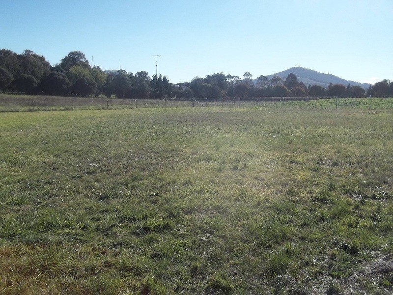 41 Ryrie Street, Michelago NSW 2620