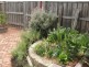 86 Forrest St, Fremantle WA 6160