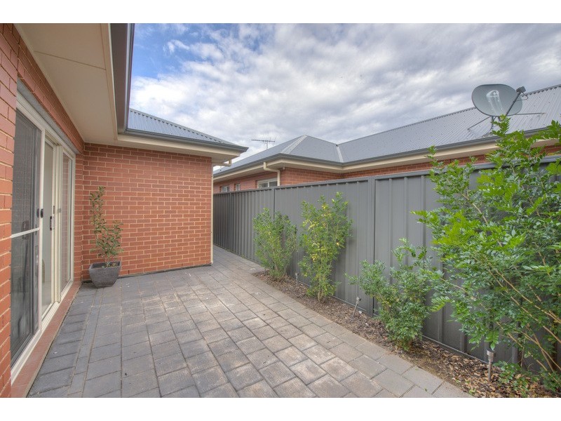 19 Aver Ave, Daw Park SA 5041