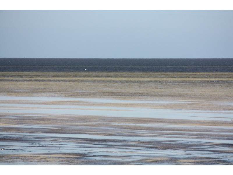 147 The Esplanade, Thompson Beach SA 5501