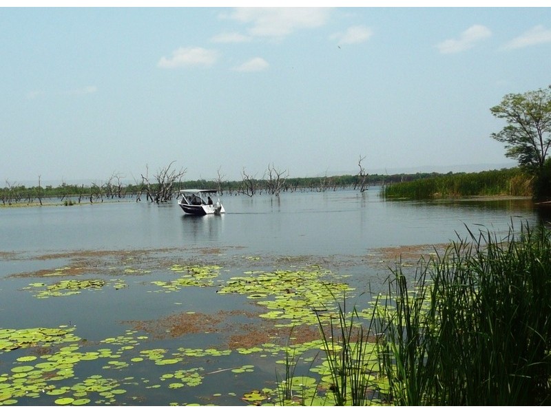 69 Hibiscus Drive, Kununurra WA 6743