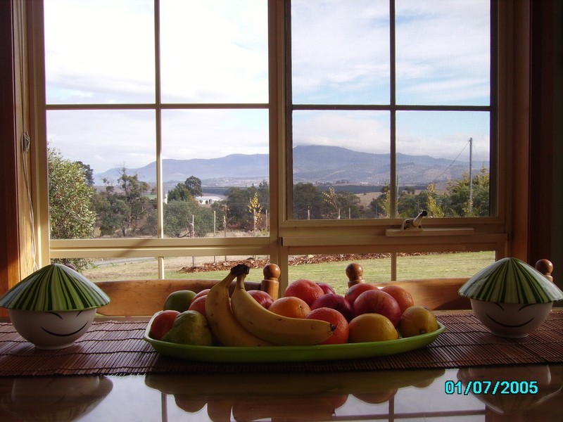 8 Tianari Drive, Honeywood TAS 7017