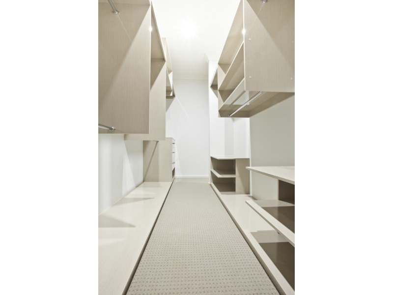 16  Laceflower Court, Reedy Creek QLD 4227