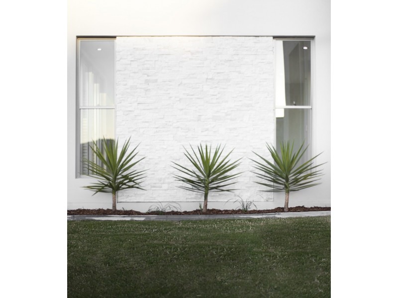 16  Laceflower Court, Reedy Creek QLD 4227