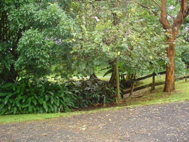 122 Arthur Road, Byron Bay NSW 2481