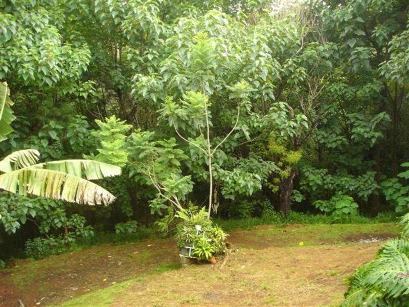 122 Arthur Road, Byron Bay NSW 2481