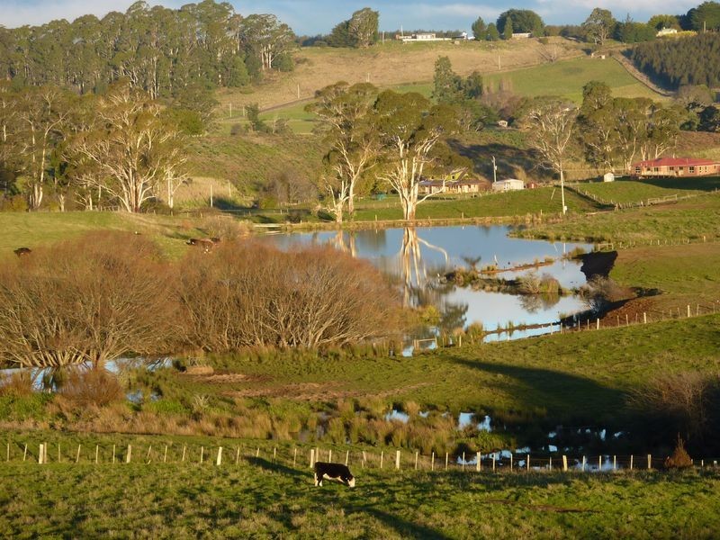 10 Landon Place, Sheffield TAS 7306
