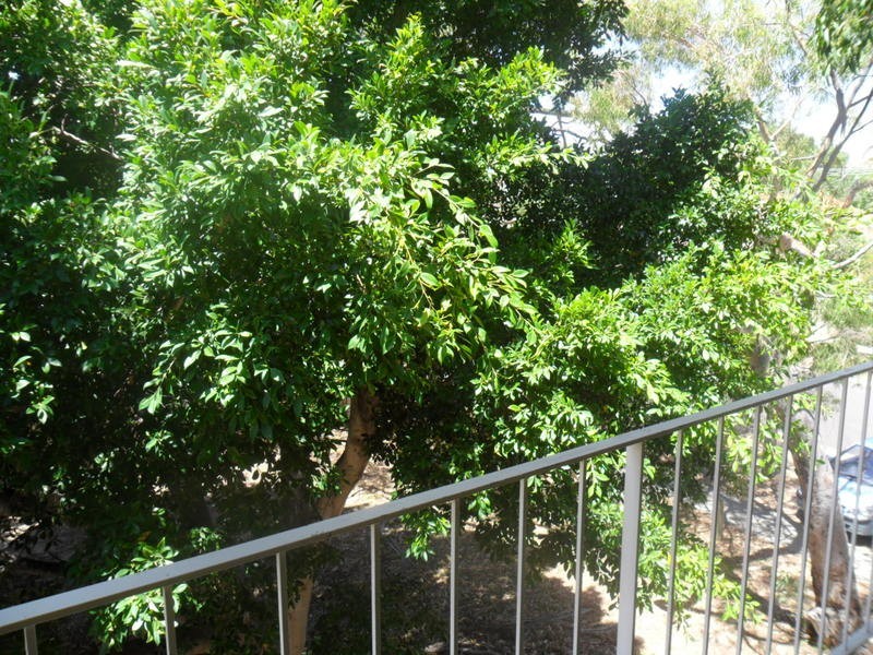 5/41 Fairlight St, Mosman Park WA 6012