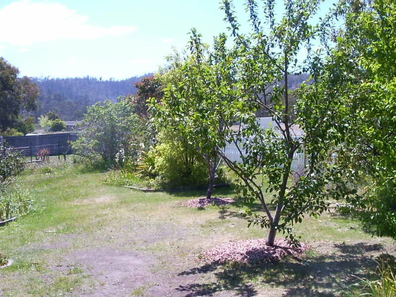 137 Rockingham Drive, Clarendon Vale TAS 7019