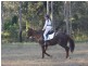 Carbrook QLD 4130