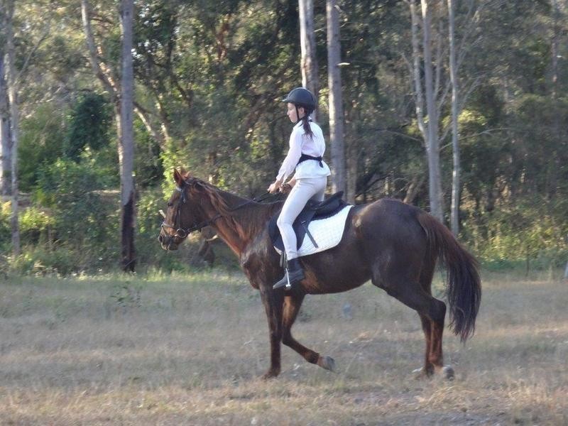 Carbrook QLD 4130