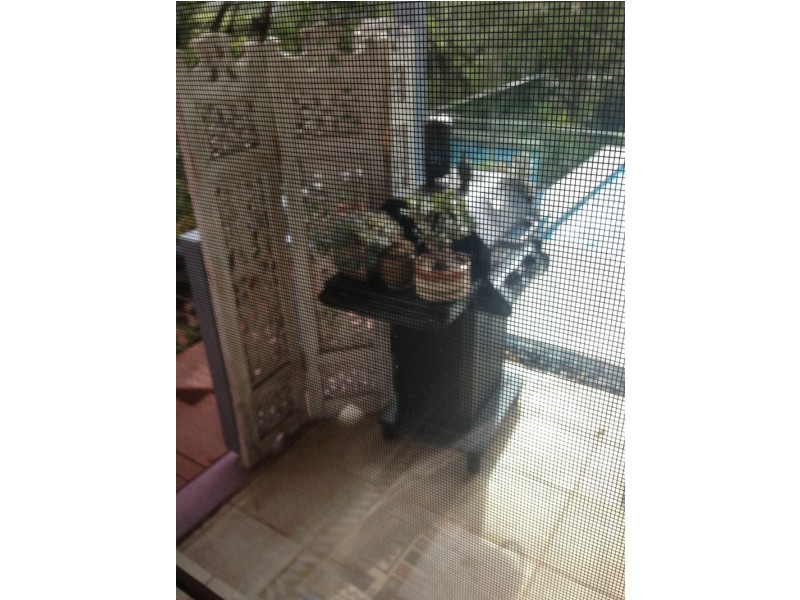 29 One Mile Close, Boat Harbour NSW 2316