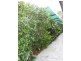 19 Homefield St, Margate QLD 4019
