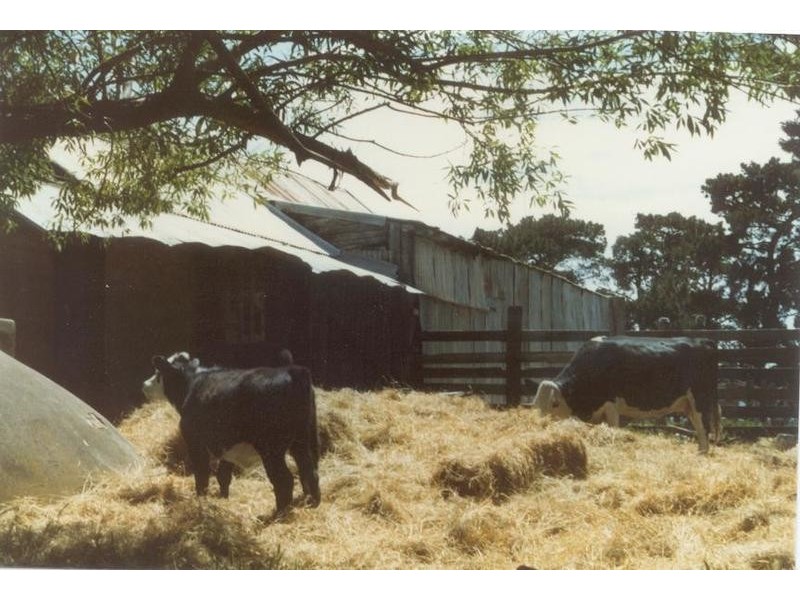 Lot 8/20 Wills Rd, Whittlesea VIC 3757