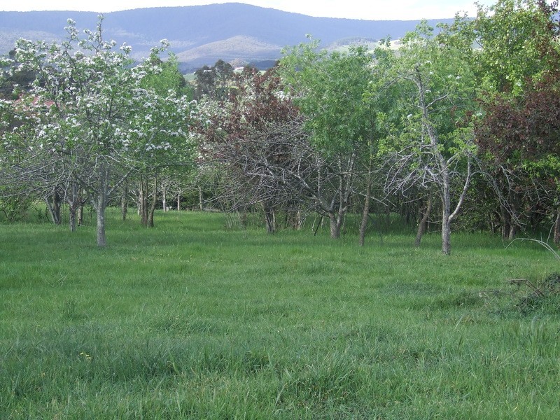 Lot 8/20 Wills Rd, Whittlesea VIC 3757