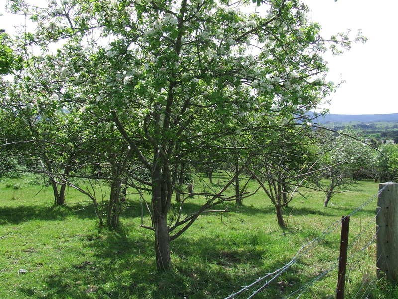 Lot 8/20 Wills Rd, Whittlesea VIC 3757