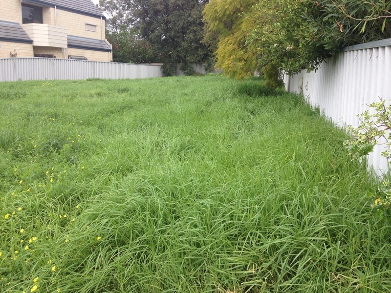 13 Scenic Crescent, South Perth WA 6151