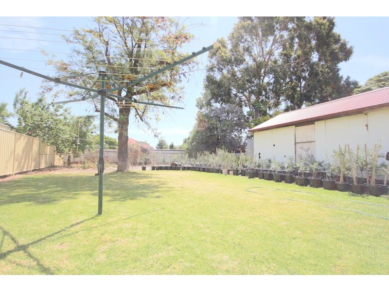 29 Nyonga Ave, Croydon Park SA 5008