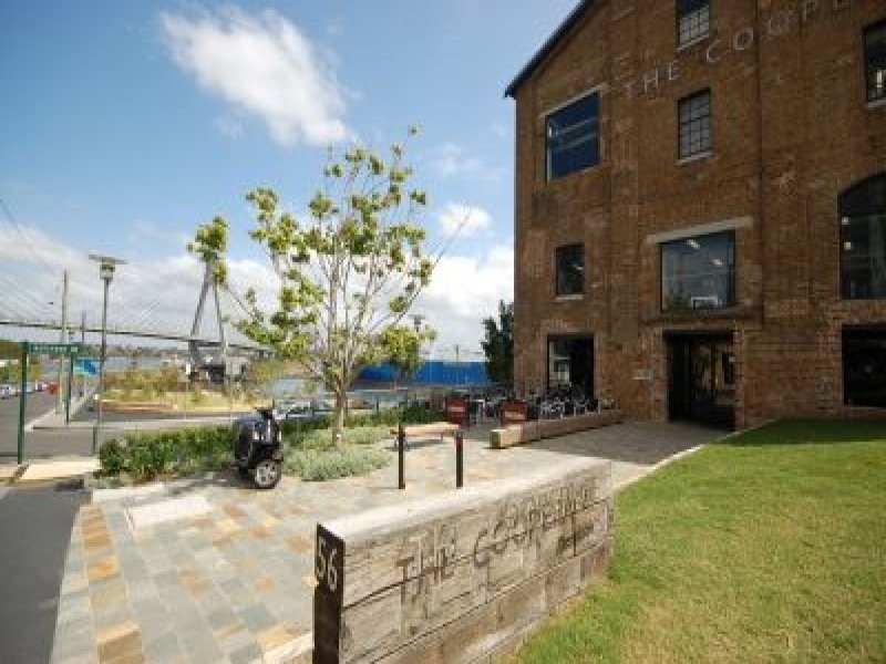 407/56 Bowman Street, Pyrmont NSW 2009