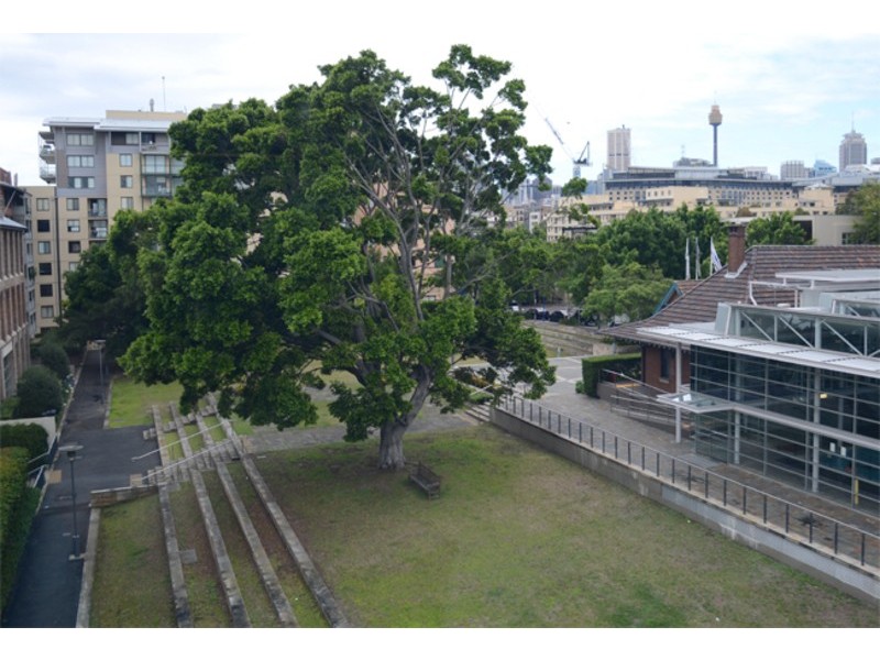 407/56 Bowman Street, Pyrmont NSW 2009