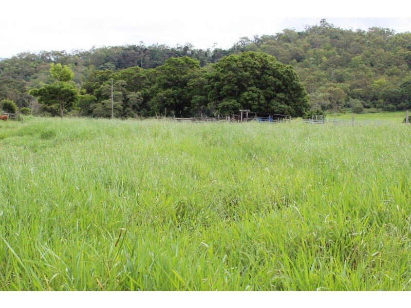 133 Rands Road, Koumala QLD 4738
