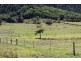 133 Rands Road, Koumala QLD 4738