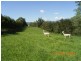 27 Short St, Gresford NSW 2311