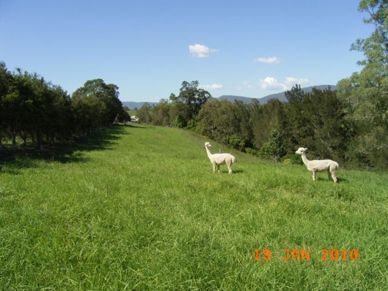 27 Short St, Gresford NSW 2311