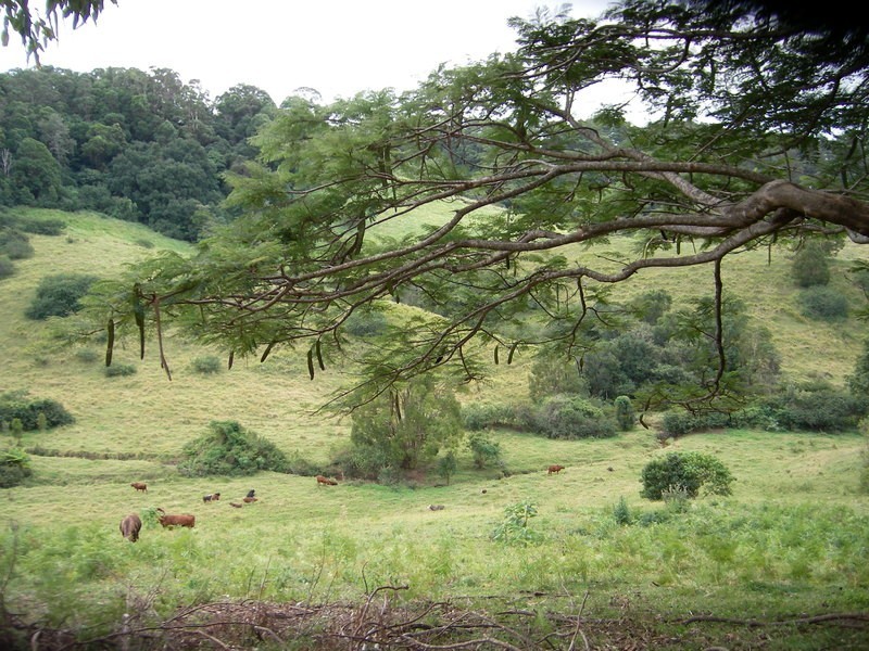 30  Briggs Rd, Perwillowen QLD 4560