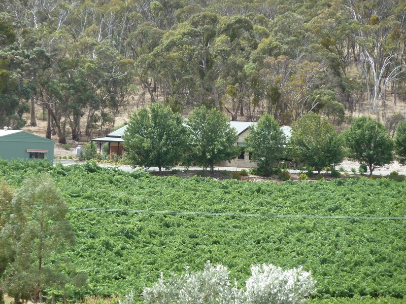 Ettrick Creek/Lot 202 Boconnoc Park Road, Armagh SA 5453