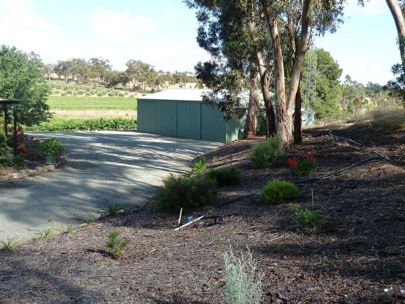 Ettrick Creek/Lot 202 Boconnoc Park Road, Armagh SA 5453