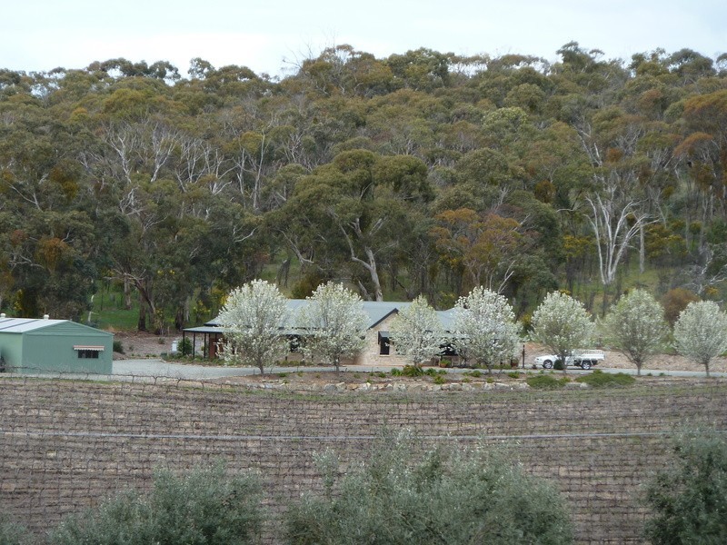 Ettrick Creek/Lot 202 Boconnoc Park Road, Armagh SA 5453