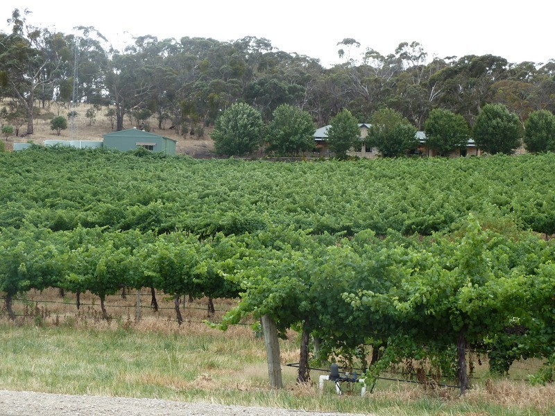 Ettrick Creek/Lot 202 Boconnoc Park Road, Armagh SA 5453