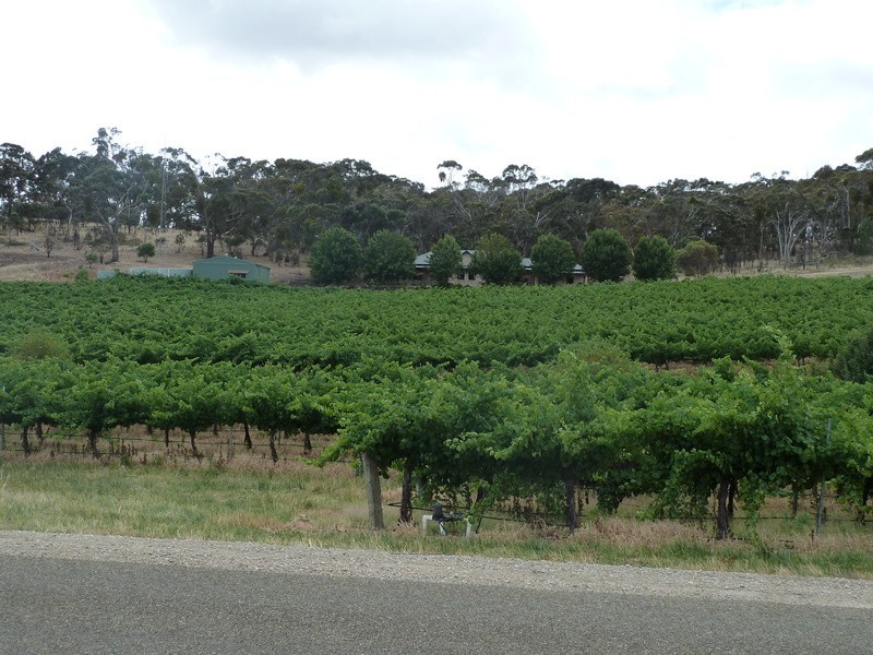 Ettrick Creek/Lot 202 Boconnoc Park Road, Armagh SA 5453