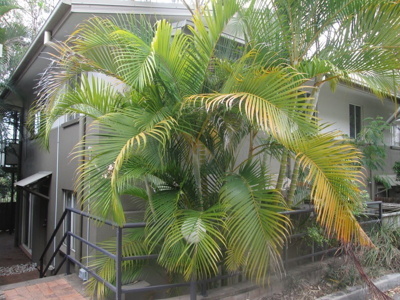 7/1 Glenquarie Place, The Gap QLD 4061