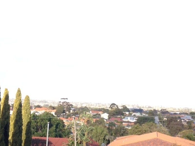 261 Holbeck Street, Doubleview WA 6018