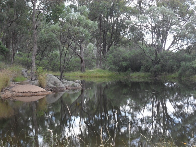 190 Retreat Road, Armidale NSW 2350