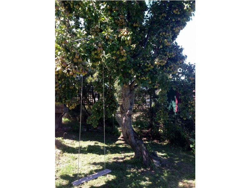 53 Thorp Street, Cygnet TAS 7112