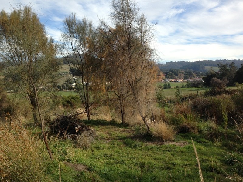 53 Thorp Street, Cygnet TAS 7112