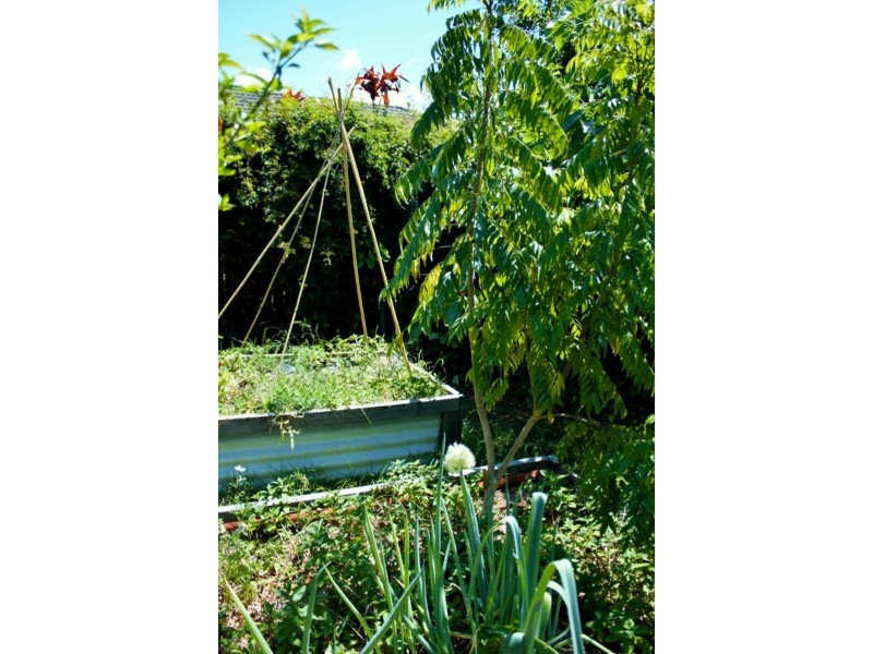 289 Lascelles Street, Brighton QLD 4017