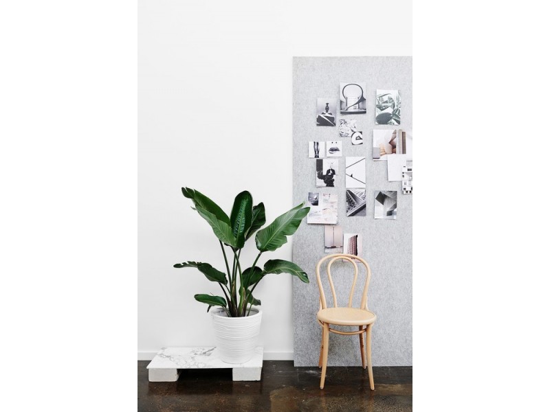 4/40 Green Street, Windsor VIC 3181