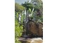22 Haig St, Wombarra NSW 2515