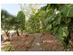 11 Verburg Court, Stuart Park NT 0820