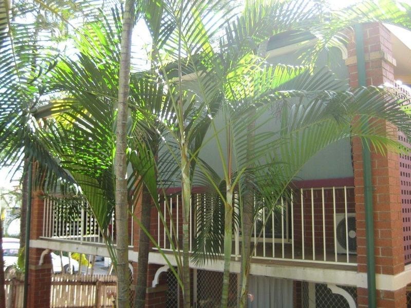 4/72 herston road, Kelvin Grove QLD 4059