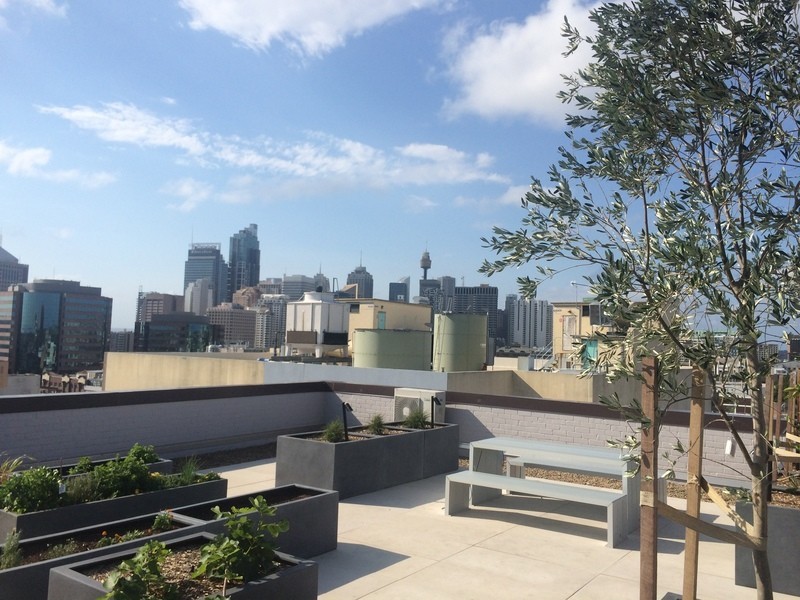 615/82 Cooper Street, Surry Hills NSW 2010