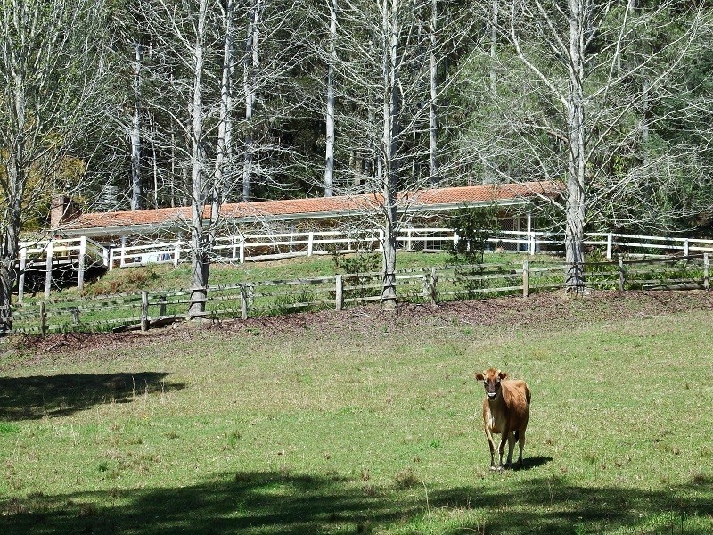 177 Peach Orchard Road, Fountaindale NSW 2258