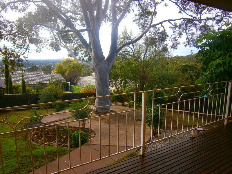 15 Gamma Crescent, Panorama SA 5041