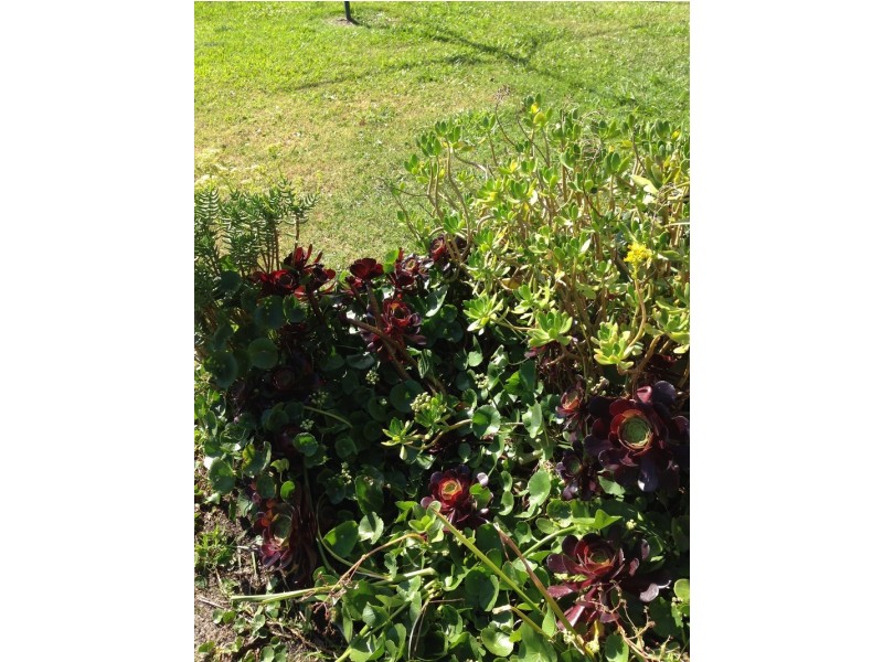 214 Marsh Rd, Bobs Farm NSW 2316