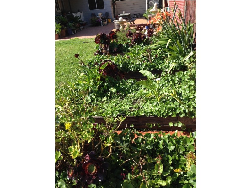 214 Marsh Rd, Bobs Farm NSW 2316